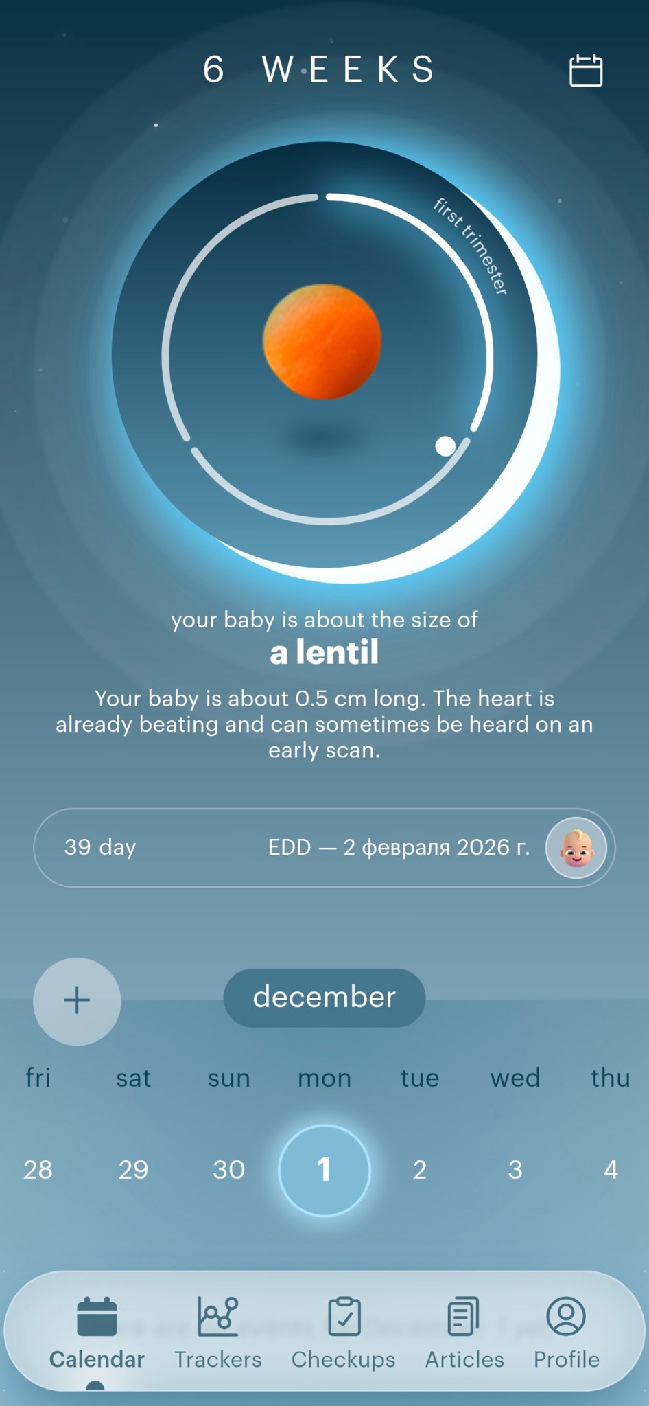 Pregnancy tracking screen